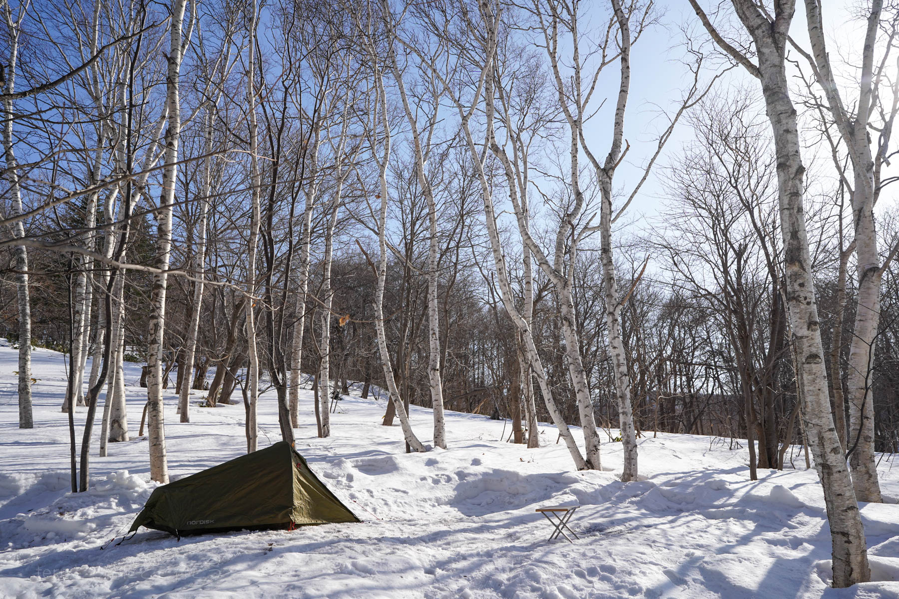 新幕 NORDISK SVALBARD(スヴァルバード) 1 PU – Ternと一緒にどこ行こう