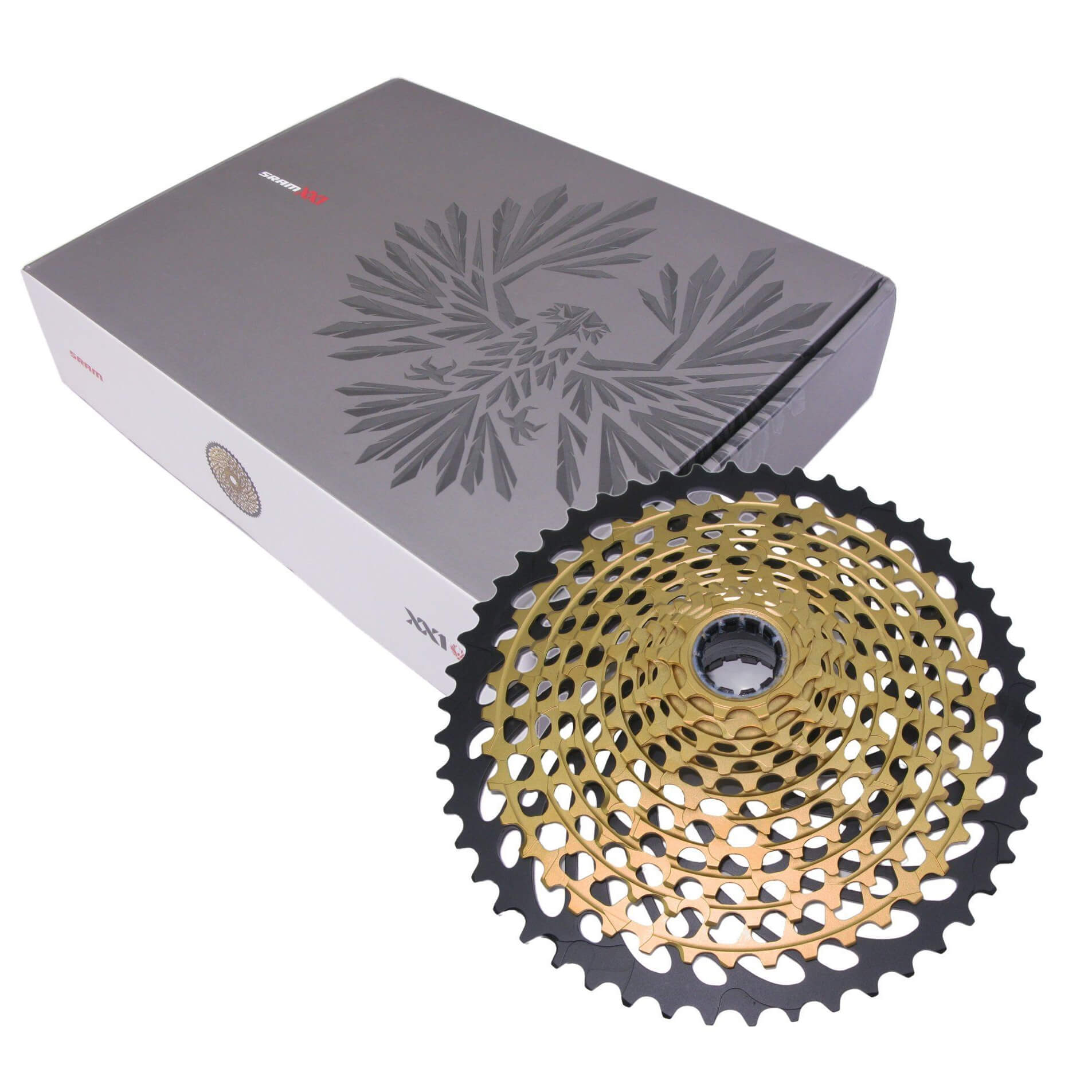 SRAM XX1 XG-1299 Eagle 12 Speed XD Type Cassette | The Bikesmiths