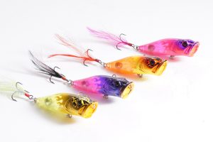 MEGABASS＞限定販売品情報 | 名古屋フィッシングルアーフェスティバル