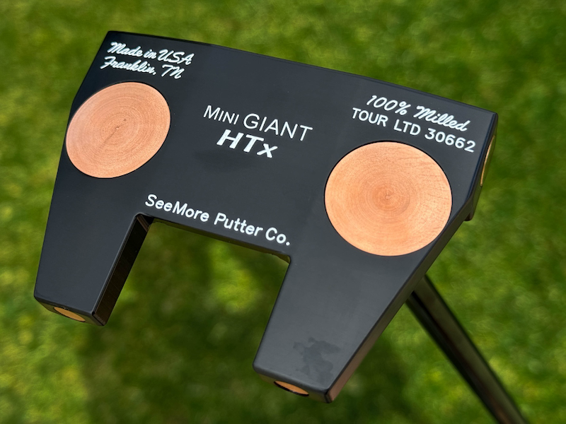 SeeMore Mini Giant HTX Putter Review - The Hackers Paradise