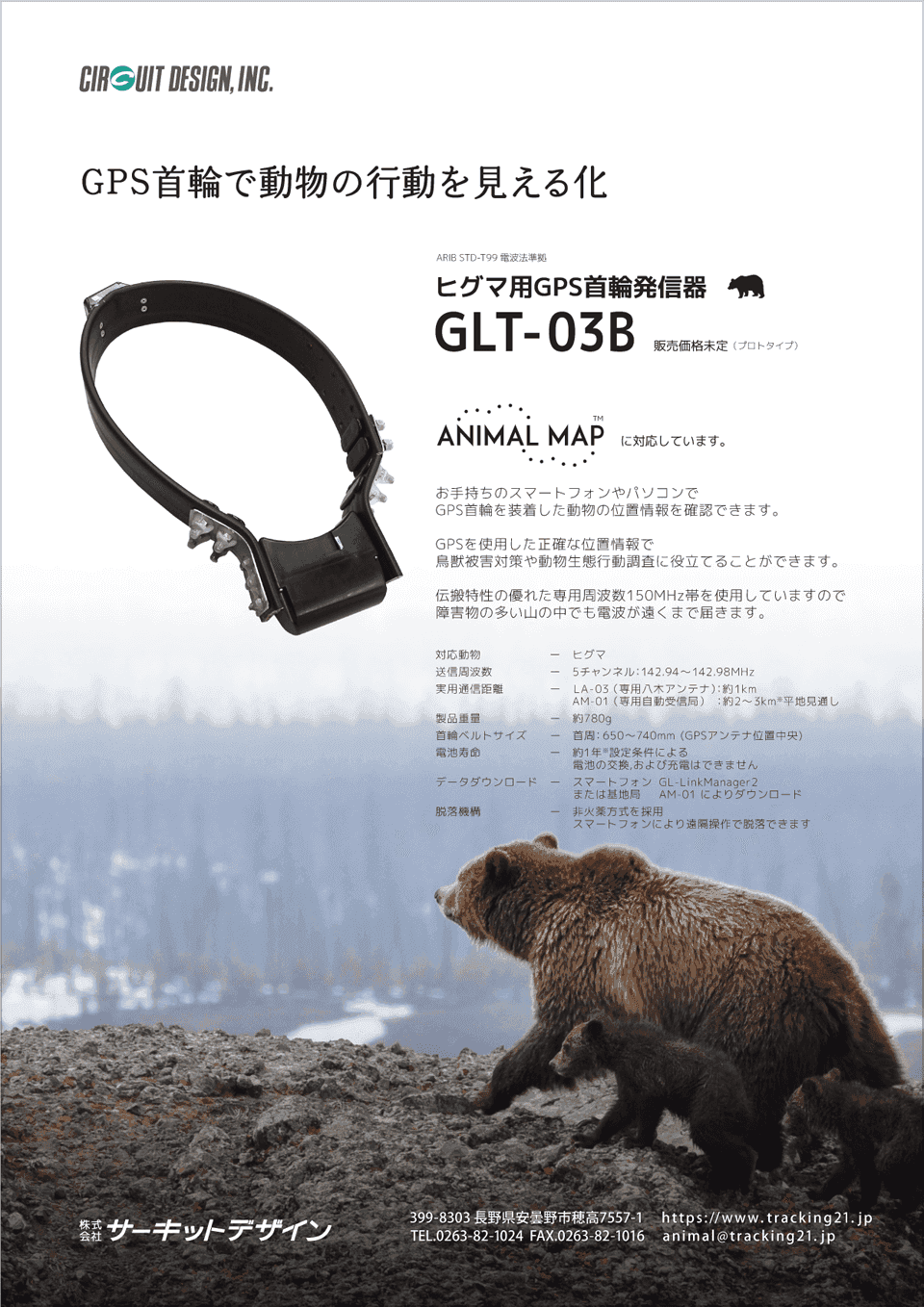 知床のヒグマへGPS首輪 GLT-03B 試作機を装着しました | 動物行動調査