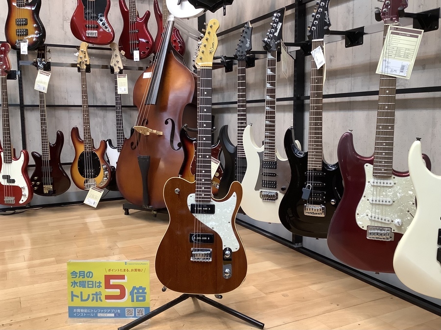 Moon（ムーン）のRM-DXⅡ レゲエマスターが買取入荷しました！【南大沢