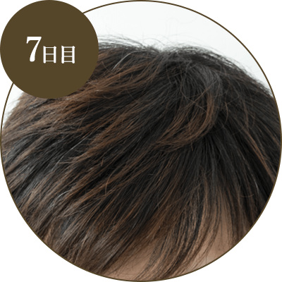 生活の木のヘアカラー 5分でカンタン白髪染め｜「自然」「健康」「楽し
