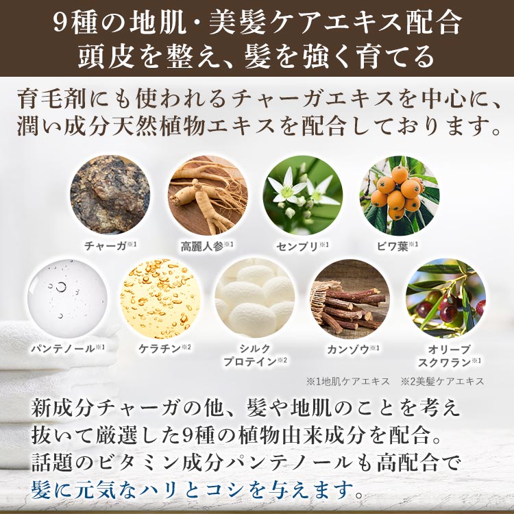 ザ・チャーガ 薬用スカルプシャンプー2本セット｜テレ東マート
