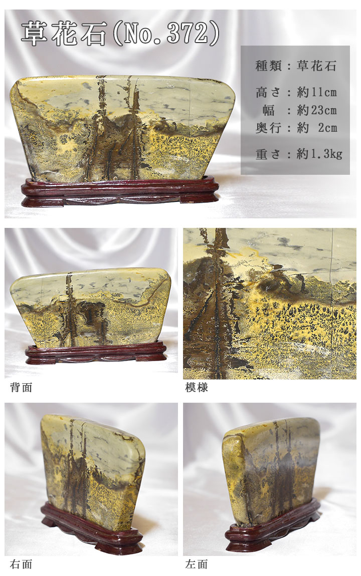ピクチャーストーン】草花石No.372（観賞用鉱石）