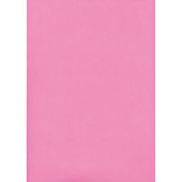 UCHIDASウチダス蛍光ニューカラー 4切フラッシュピンク 10枚入