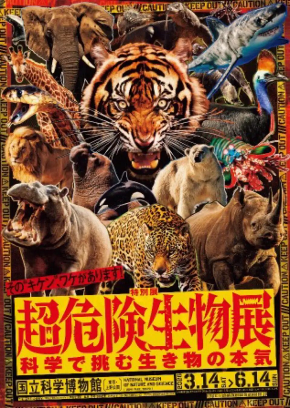 特別展 超危険生物展 科学で挑む生き物の本気｜2026年3月14日（土）〜6
