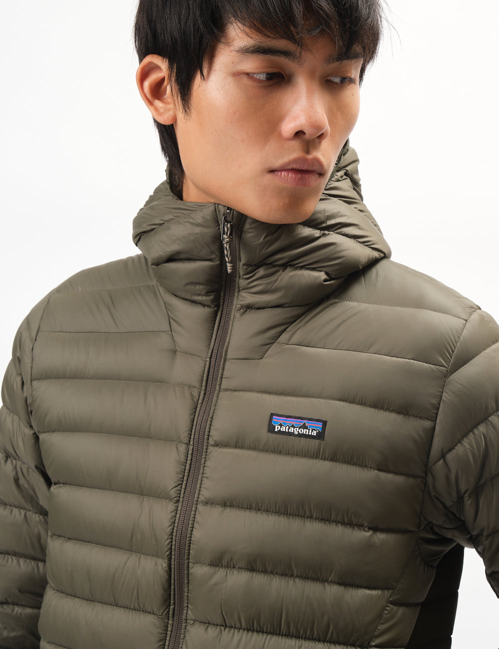 Patagonia Down Sweater Hoody - Pine Needle Green | Urban Excess