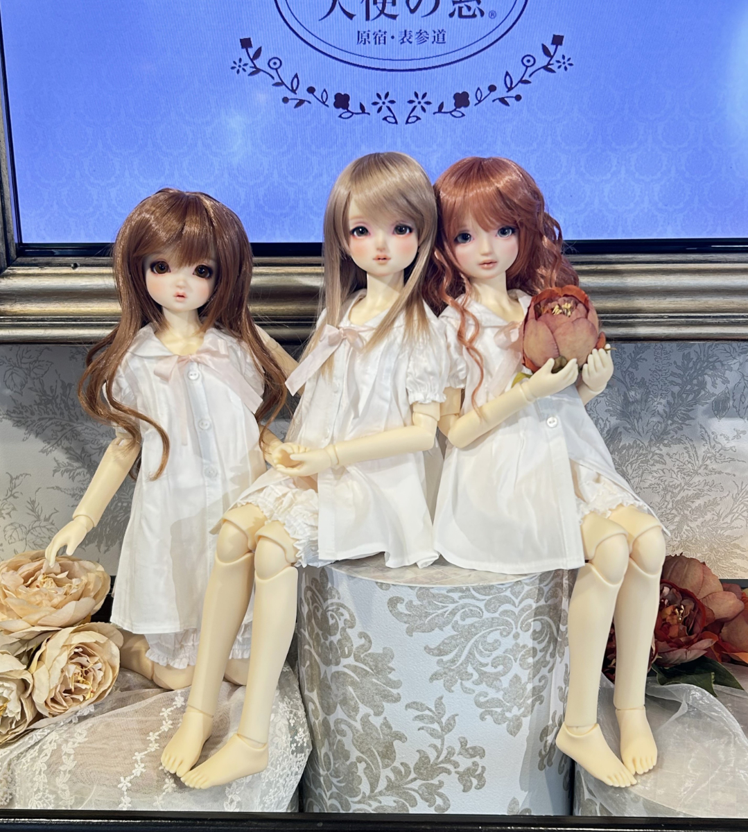 天使のすみか 春のフェア2025」新スタンダードモデルを展示中です