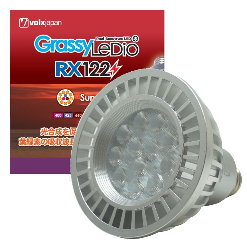 GrassyLeDio RX122 Sunset - ボルクスジャパン ダイレクト