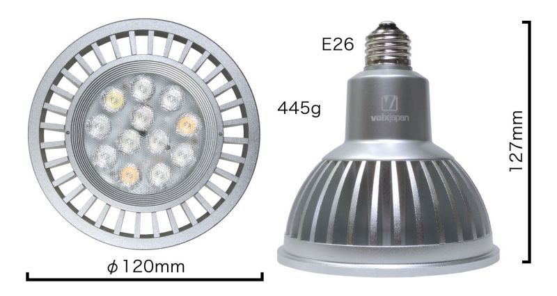 GrassyLeDio RX122 Sunset - ボルクスジャパン ダイレクト