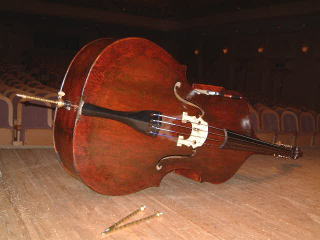 コントラバス 写真 エンドピン