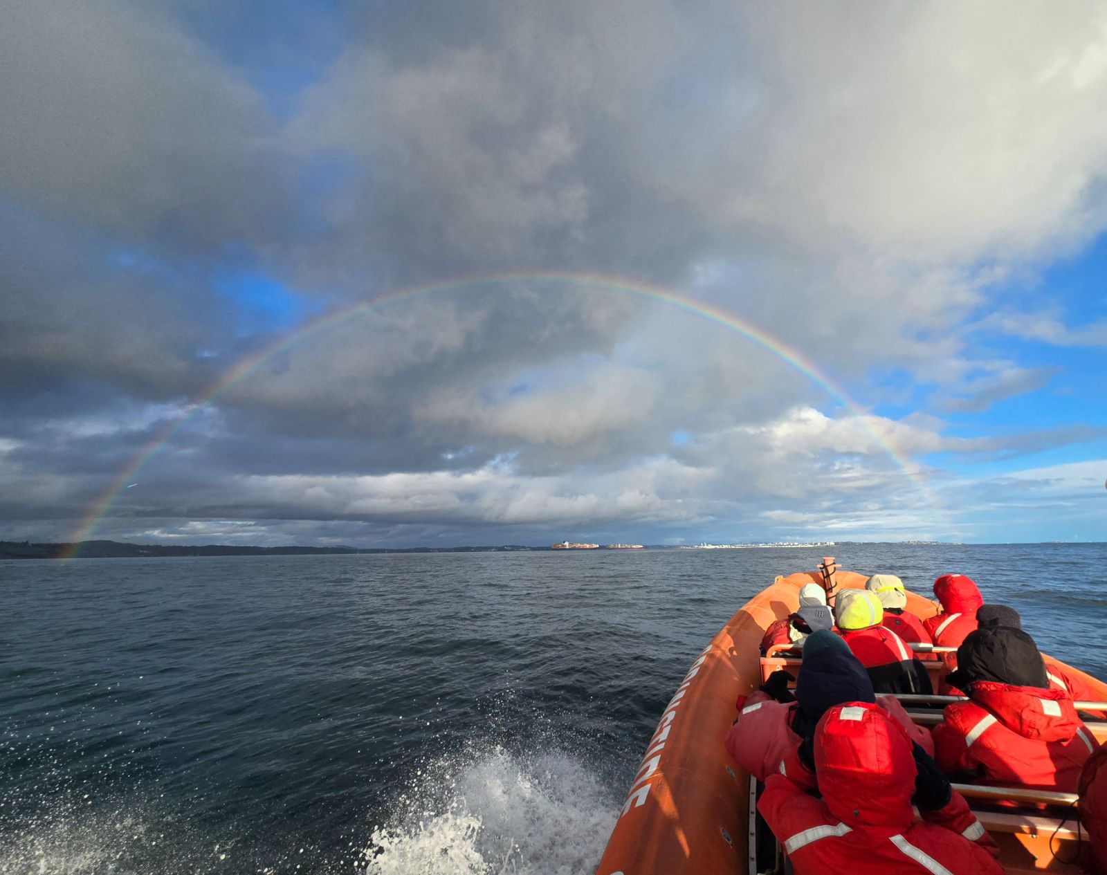 Winter Zodiac AdventureWhale & Wildlife Tour – Springtide Whale