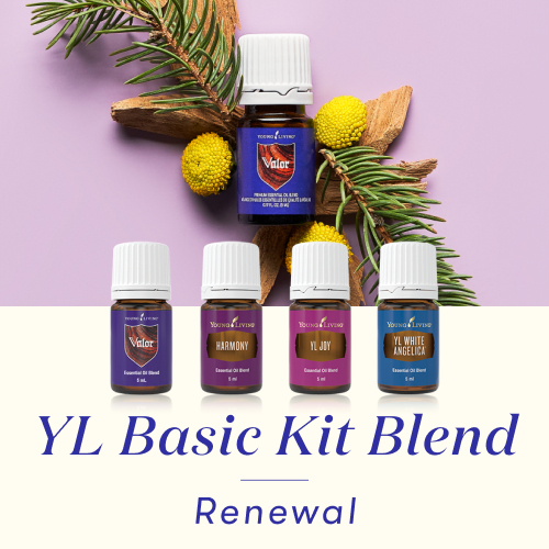YL-Basic-Kit-Blend-catch.jpg