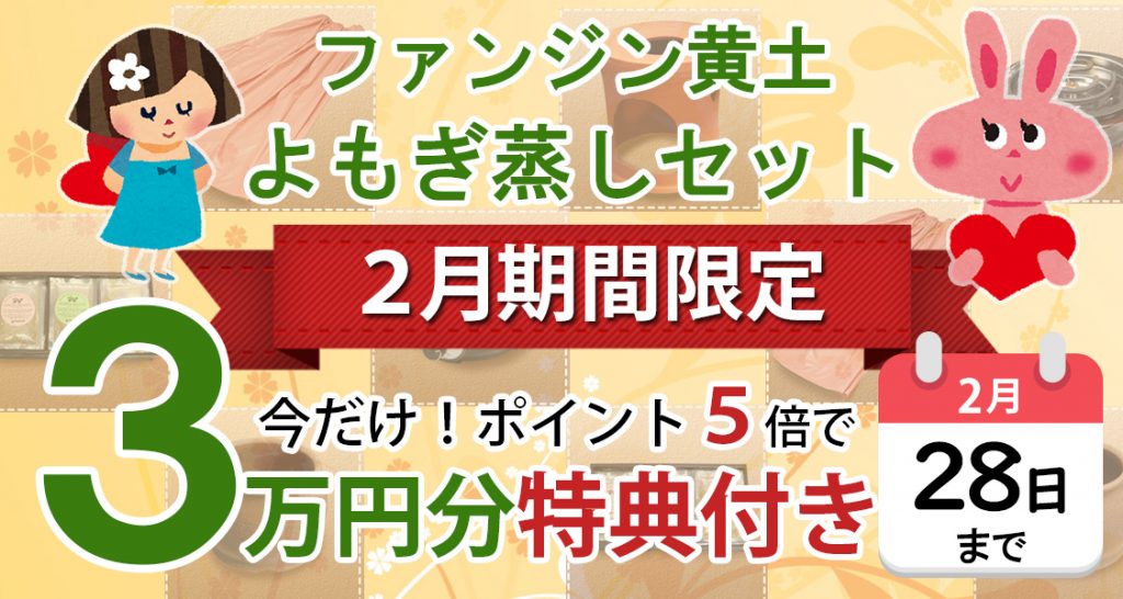 期間限定セール実施中 | 自宅用 業務用 黄土よもぎ蒸しセットの購入