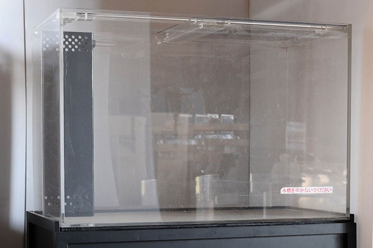 アクリル水槽 900 | 株式会社yasuda