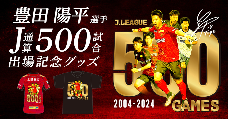豊田500試合.jpg