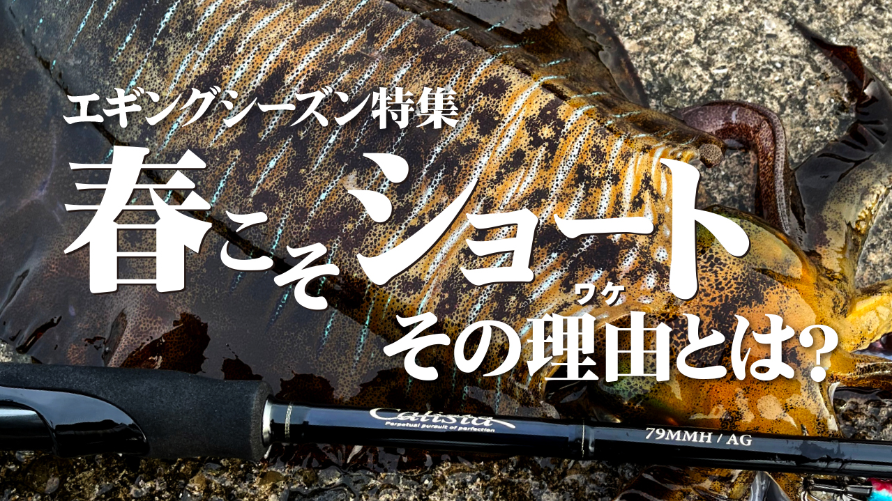Calista 79MMH / AG | YAMAGA BlanksYAMAGA Blanks