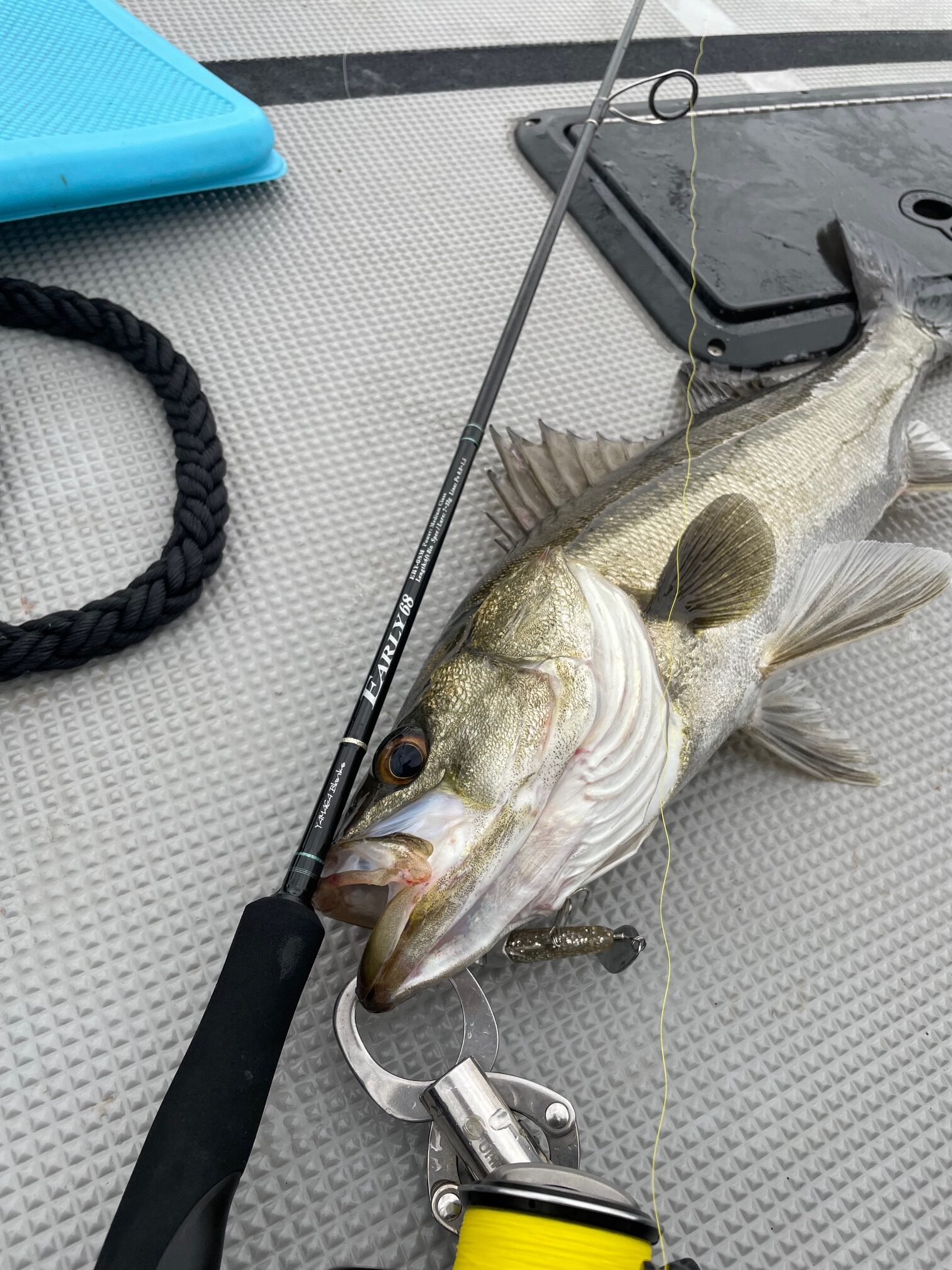 大阪府】シーバス EARLY 68M for Boat | YAMAGA BlanksYAMAGA Blanks