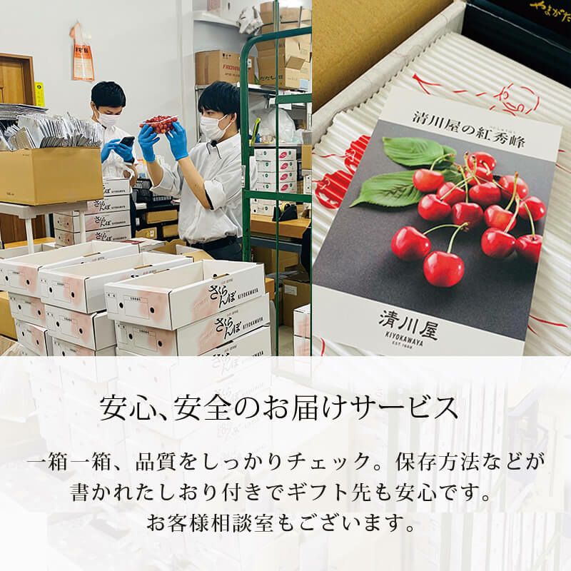 佐藤錦のさくらんぼちゃん 山形さくらんぼおすそ分けカップ入り｜清川屋
