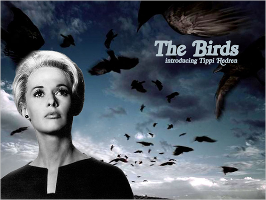 ヒッチコック 鳥 リプロポスター 映画パンフレット】鳥 The Birds