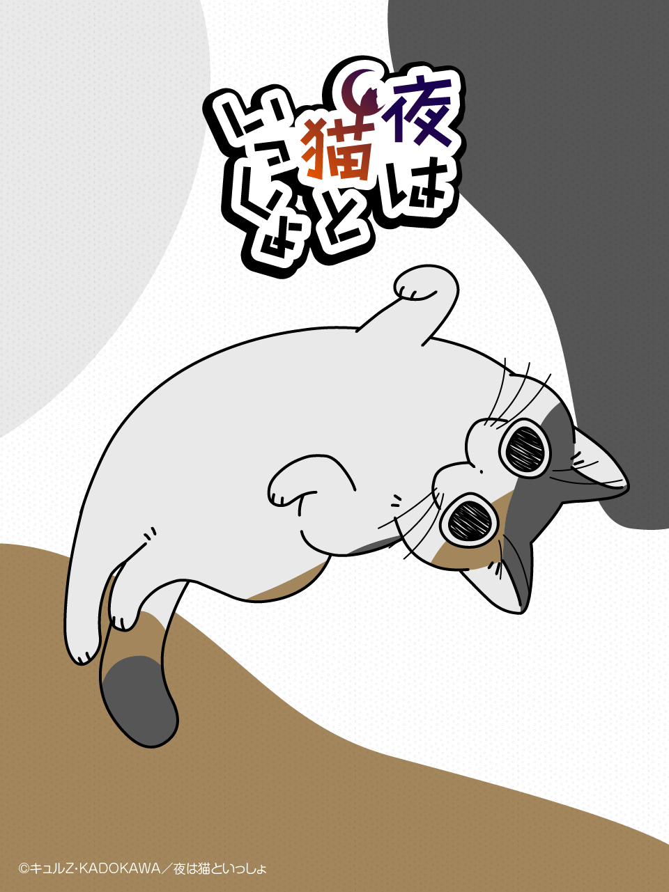 NEWS | 3月25日は「三毛猫の日」！