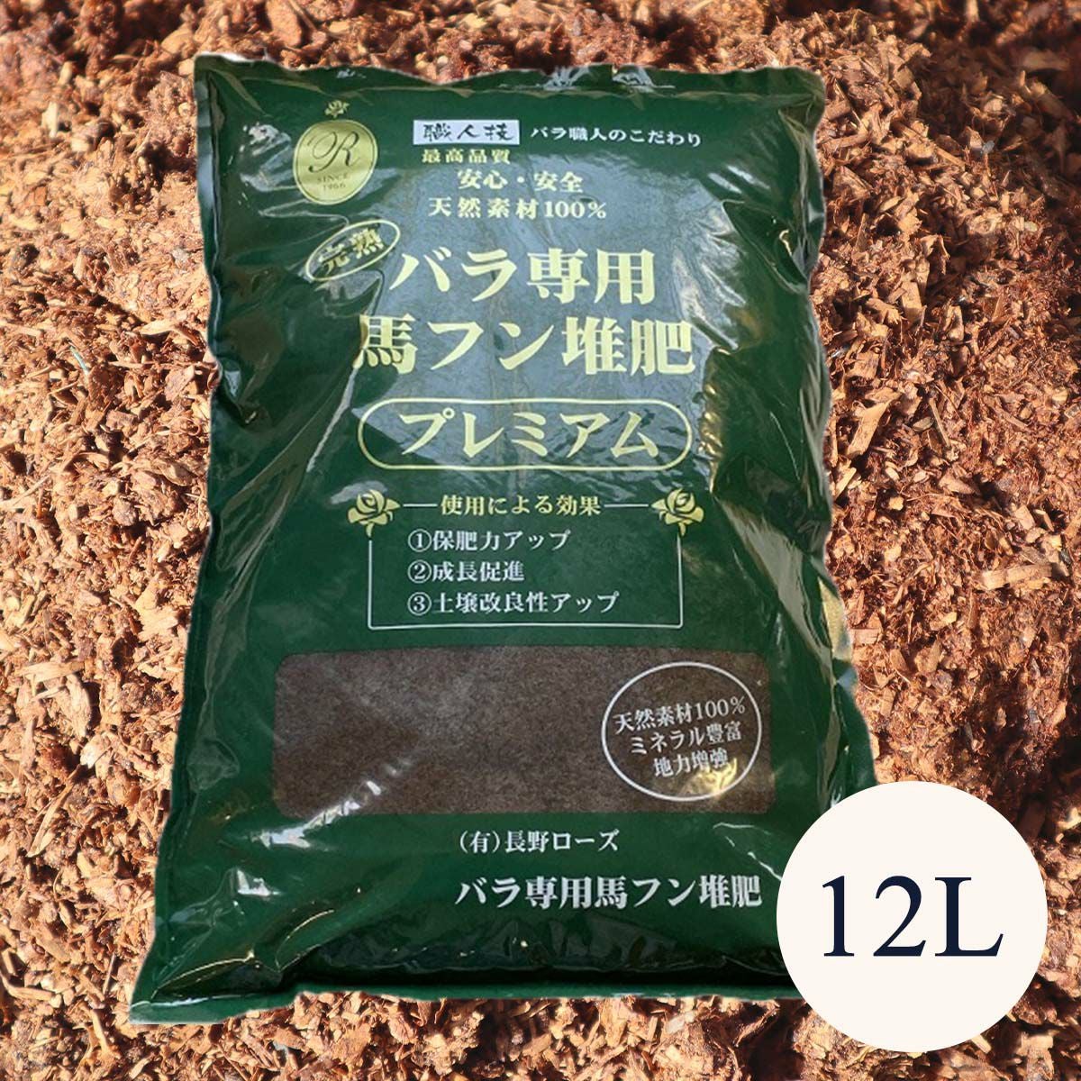 バラ苗 【イーハトーブの風】 (大苗) ハイブリットティ 四季咲き 大輪