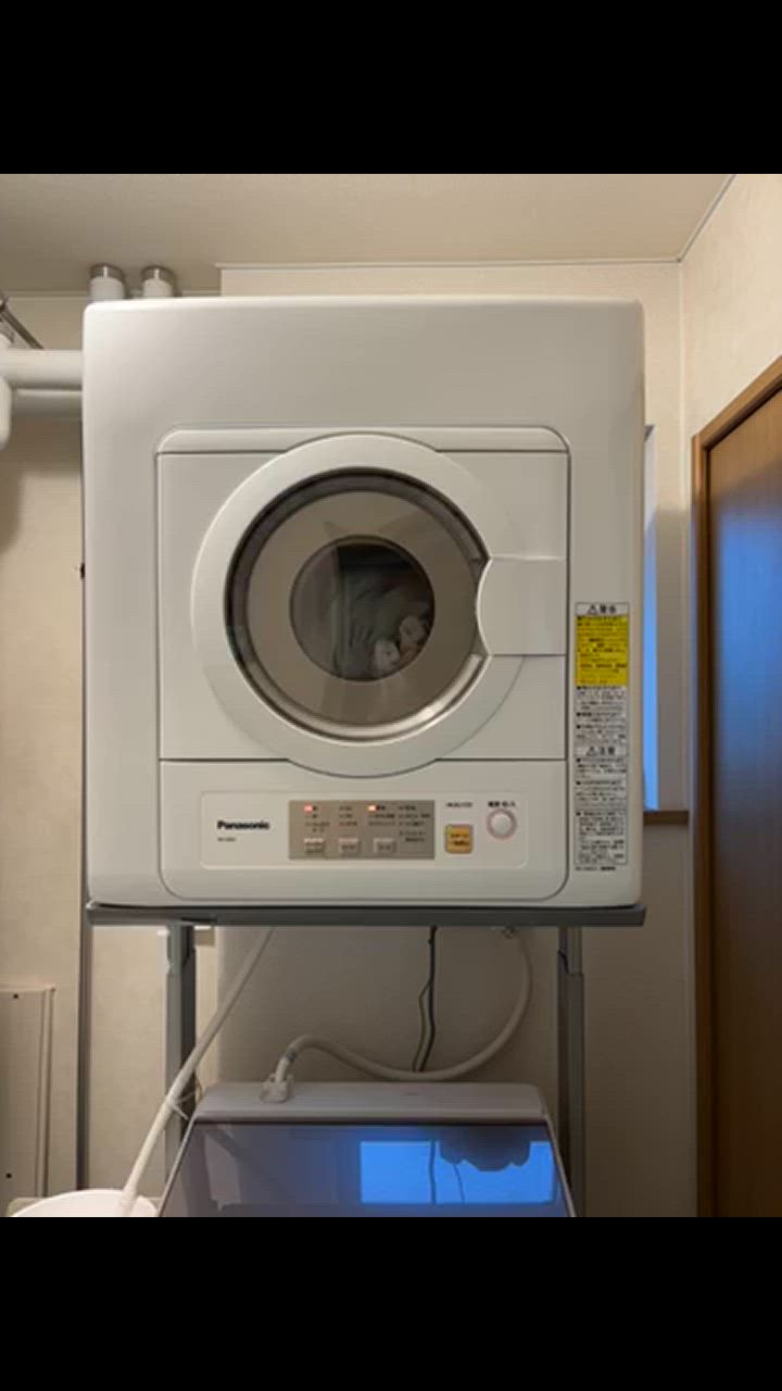 Panasonic（パナソニック） NH-D603-W 電気衣類乾燥機 （乾燥6.0kg
