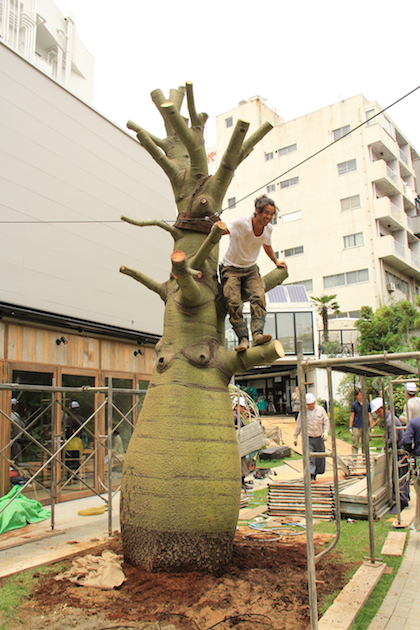 ボトルツリー « THE STUDIO WORK BLOG - ZAPのヒロさんブログ -