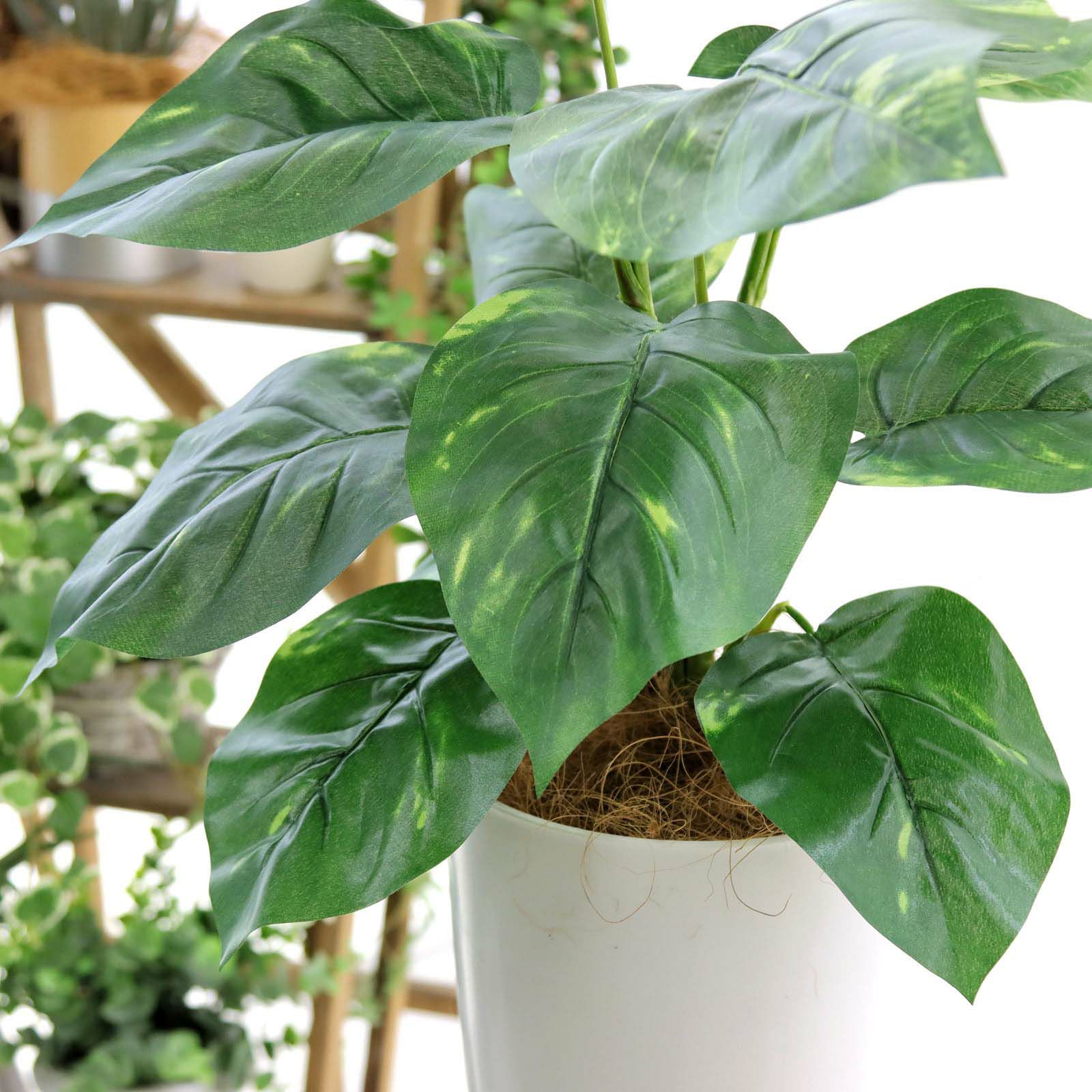 光触媒 人工観葉植物 ウォールグリーン フェイクグリーン トネリコ