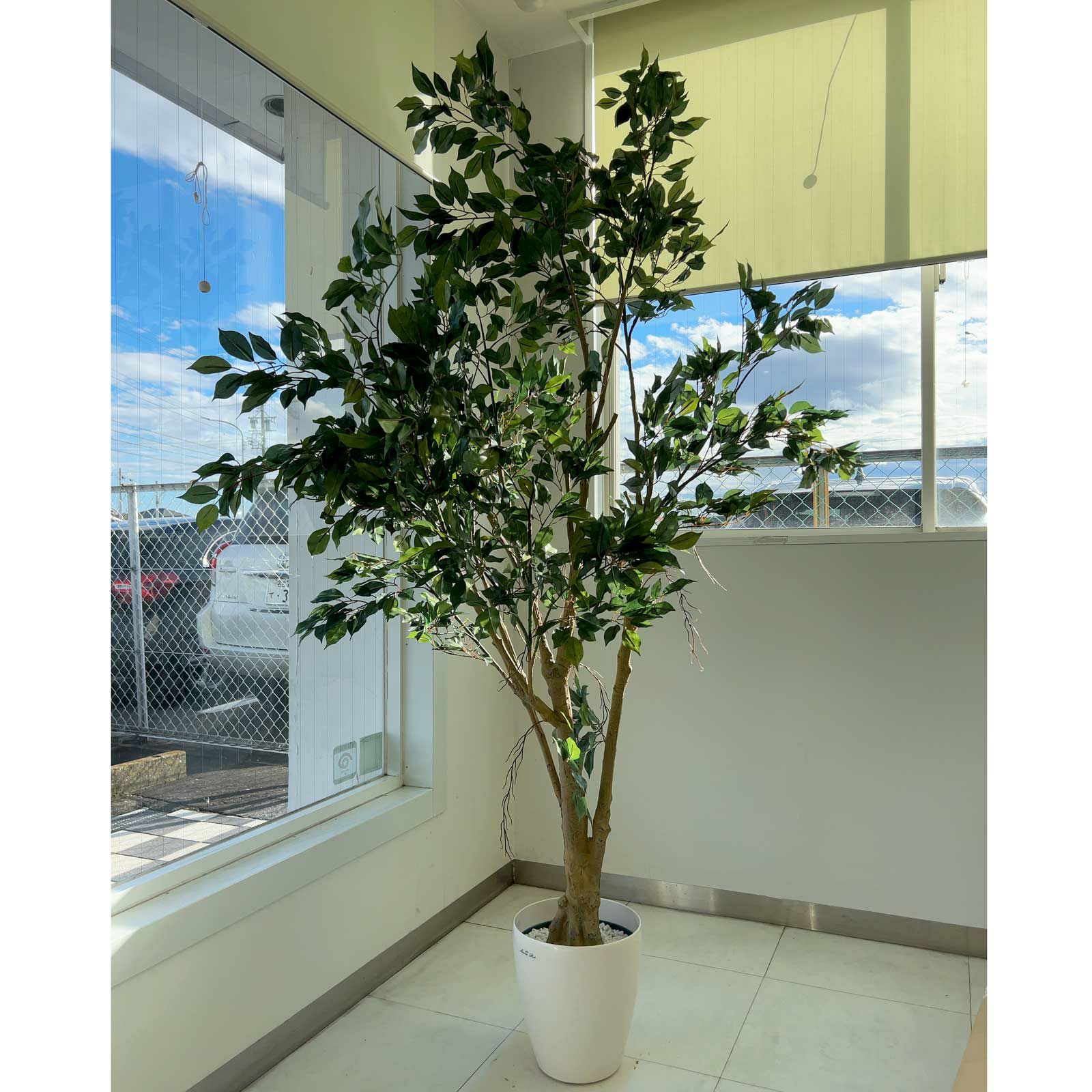 No8127 プレミアム光触媒フェイクグリーン 「圧巻の存在感 × あえて