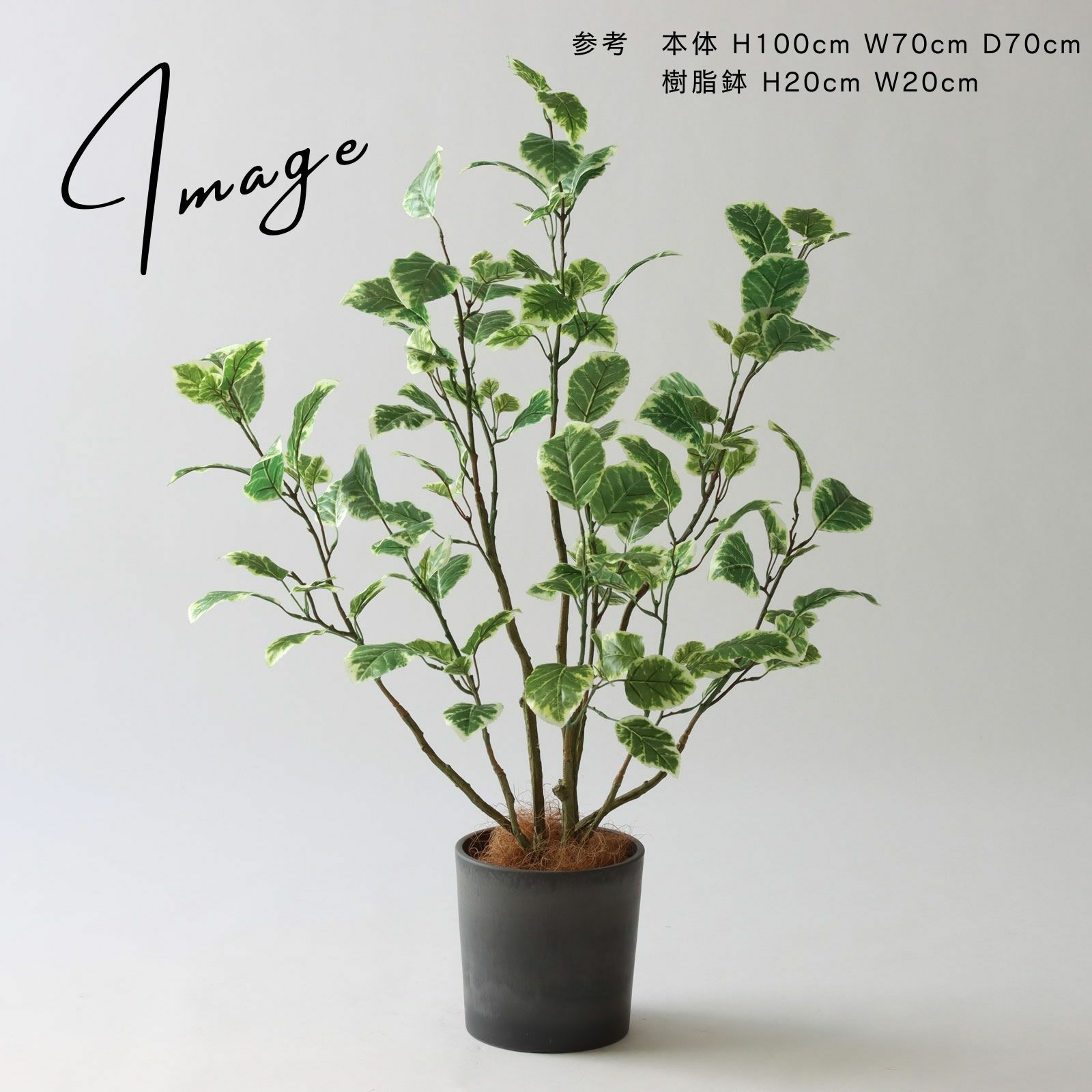 No8437 プレミアム光触媒フェイクグリーン 「斑入りの葉が揺れる