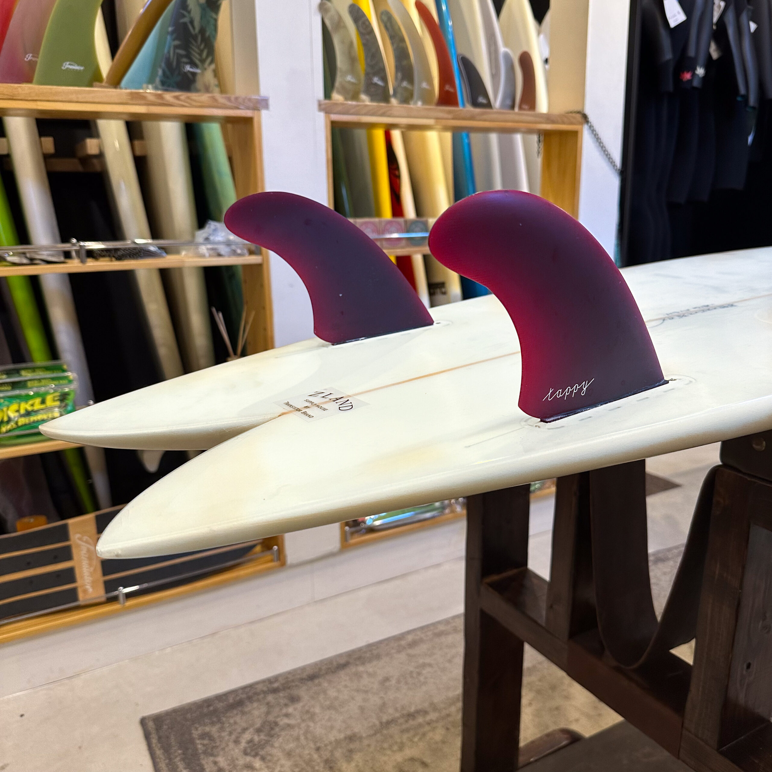 𝐓𝐑𝐀𝐍𝐒𝐈𝐒𝐓𝐎𝐑 𝐁𝐑𝐀𝐍𝐃 - 𝐁𝐈𝐆 𝐅𝐈𝐒𝐇 - のご紹介です