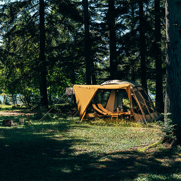 サバティカル アルニカ plus – aandfonlinestore