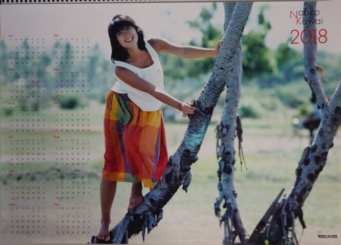 持込み買取】河合奈保子ポスター NO MUSIC,NO IDOL？他 ｜古本買取店