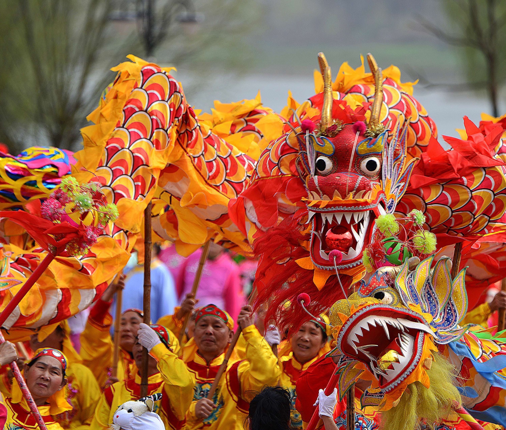 Dragon Dance 10m Size 5 Costume 8 Players Children Stundent