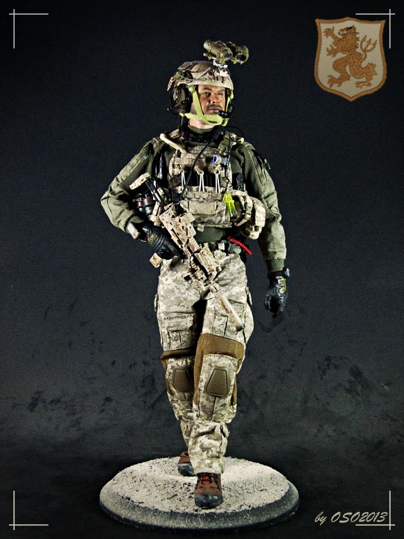 DEVGRU Gold Team アクションフィギュア 1/6 DEVGRU Gold Team