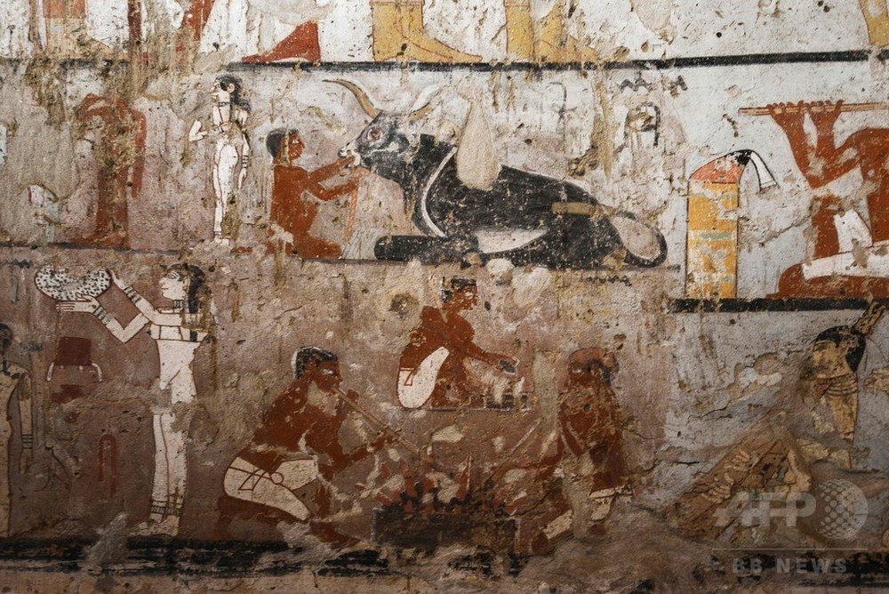 古代エジプトの巫女の墓を公開、ギザ西部墓地で発見 優れた壁画 写真8
