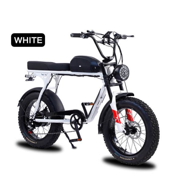 Akez S3 Electric Bike