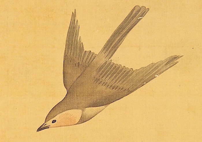 鈴木其一「朝顔小禽図」 絹本 着色 琳派 江戸絵画 / Suzuki Kiitsu