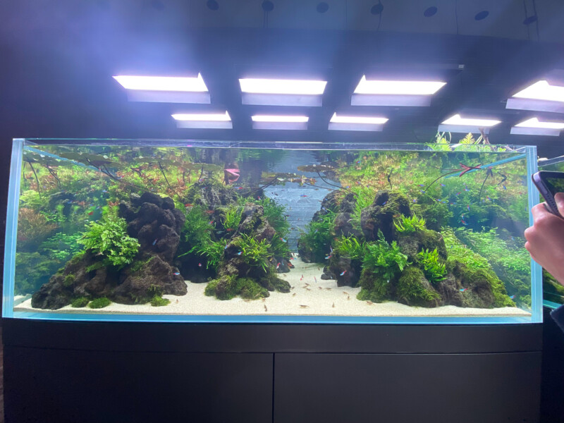 Photo 2023 6月 - Aquarium Blog