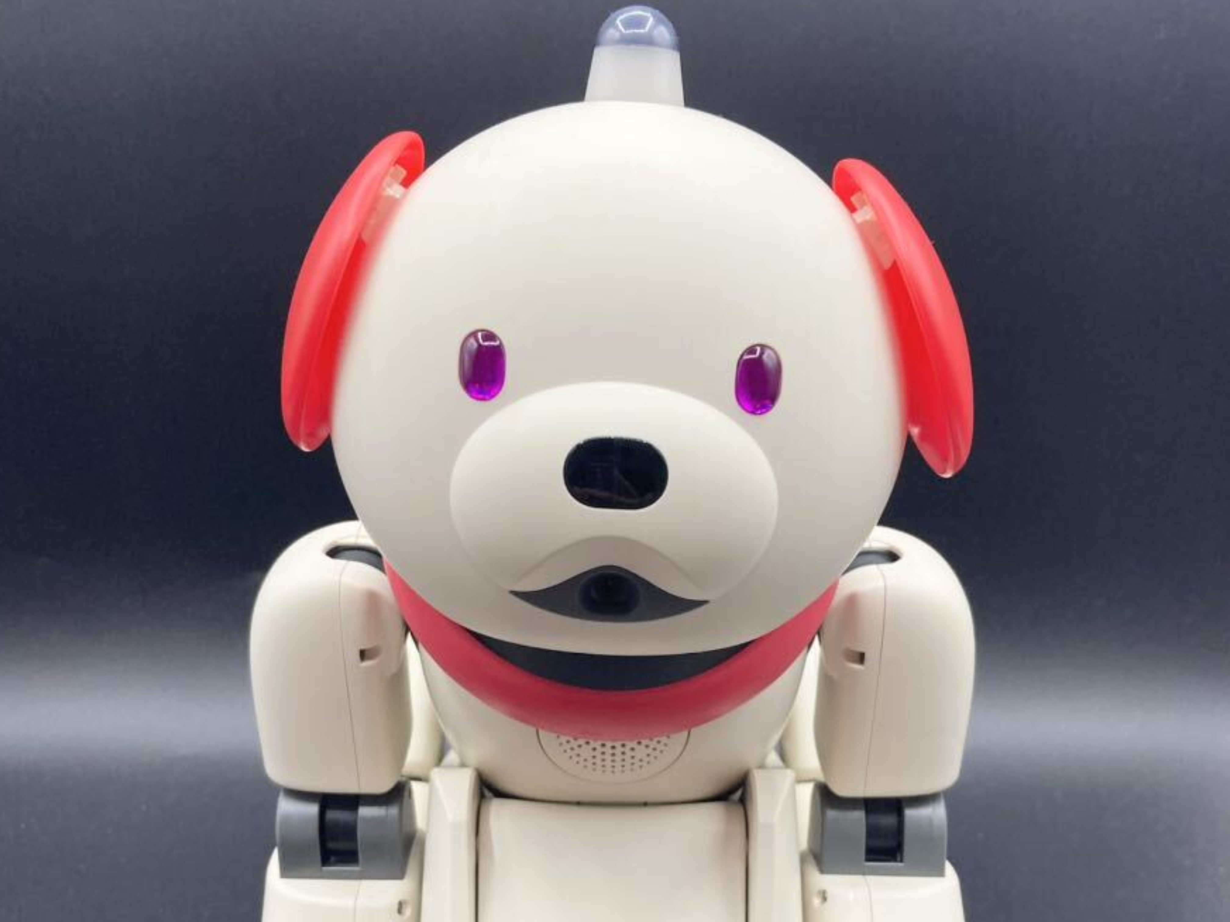 AIBO ERS-311; so noisy!