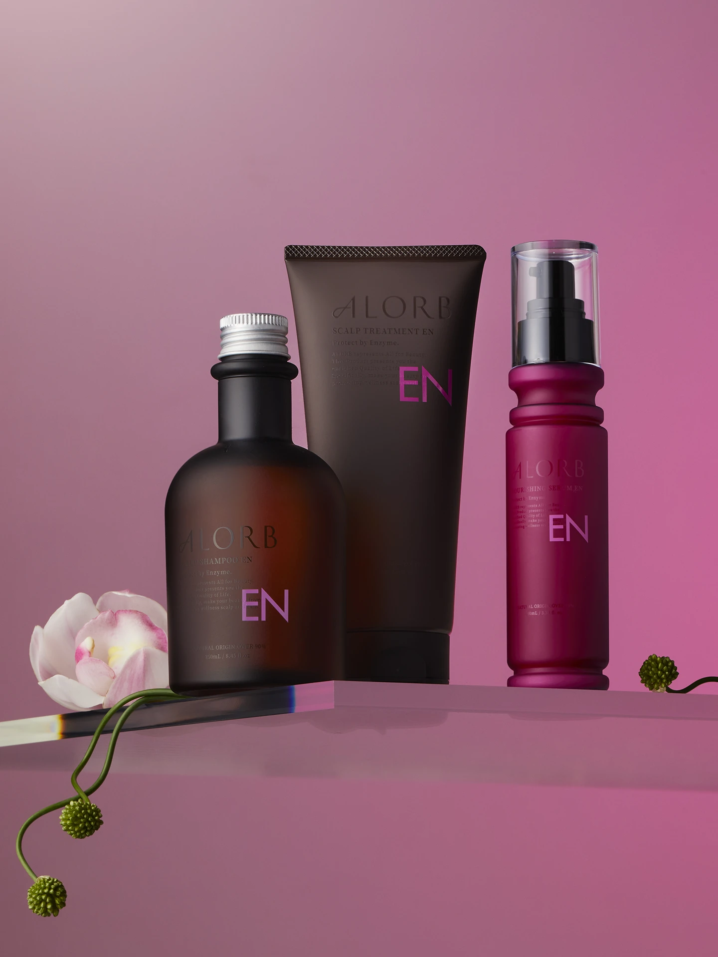 EN / Enzyme | ALORB