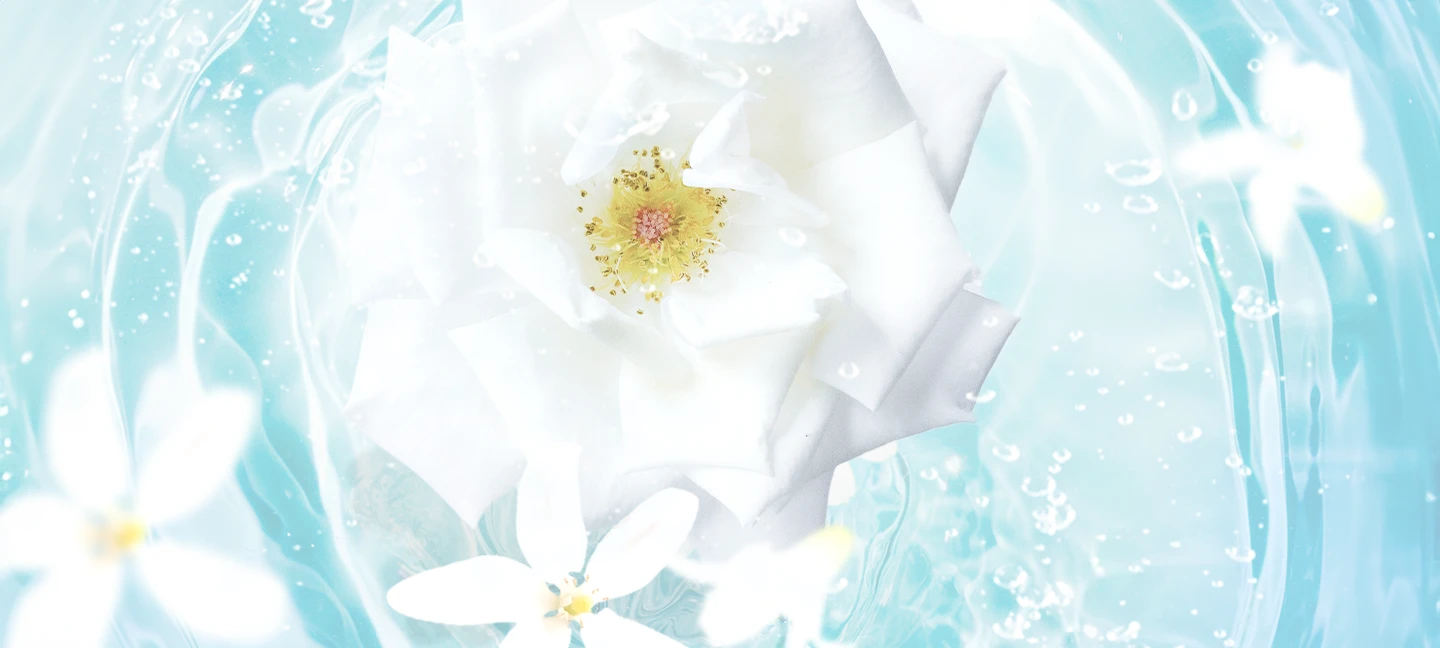 MO / Moist Charge | ALORB