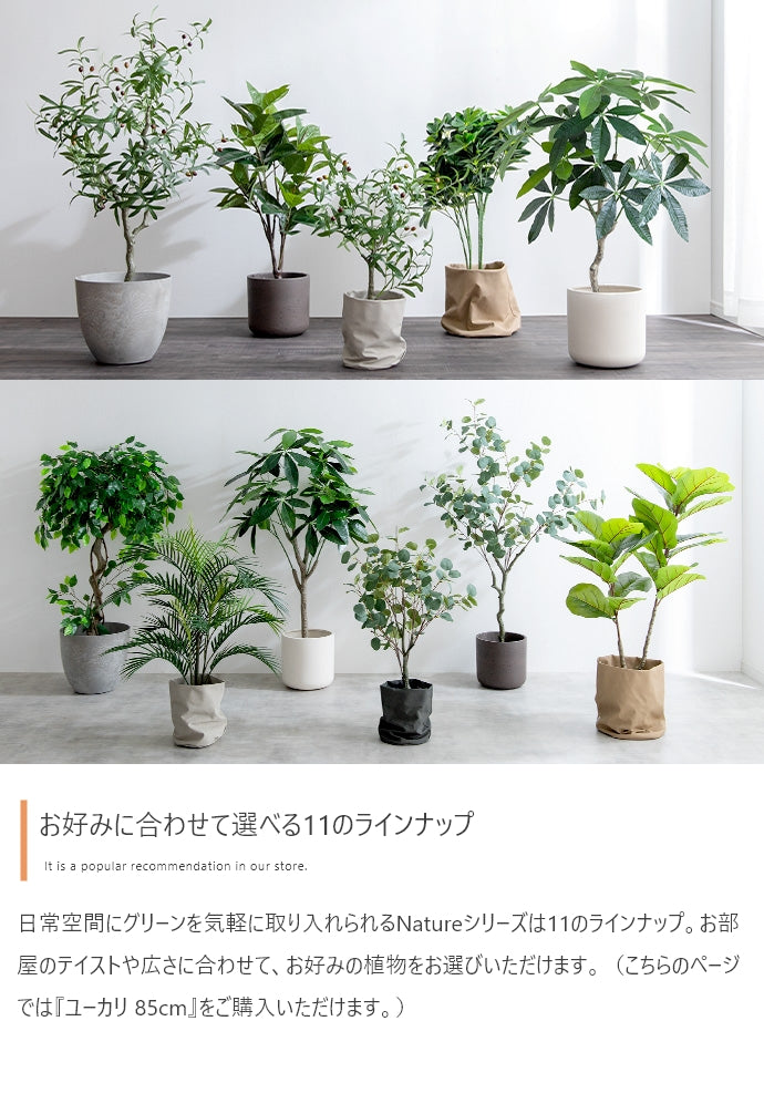 光触媒人工観葉植物 ユーカリ 高さ85cm | 【公式】allecore(アレコレ