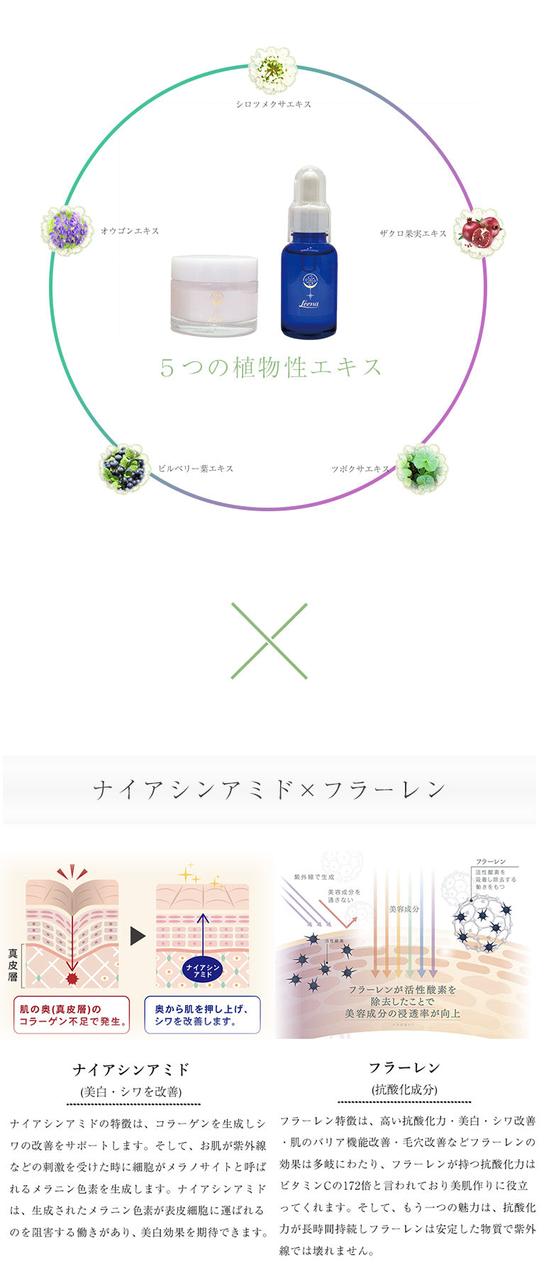 Leena エクラクリーム ここでしか買えない！お得アイテムピックアップ