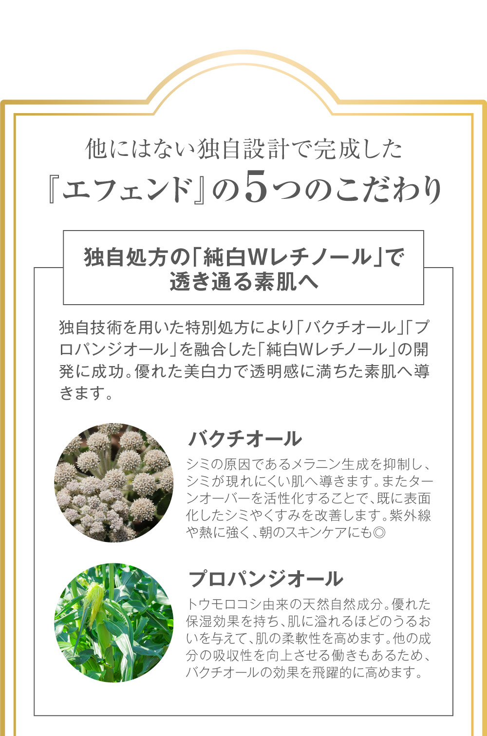 エフェンド プレエッセンス 全商品 アルメール事業部