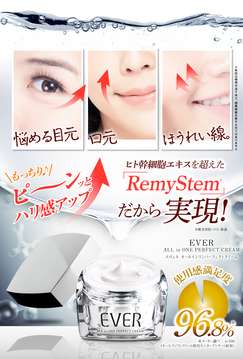 エヴェル オールインワンパーフェクトクリーム エントリー アルメール