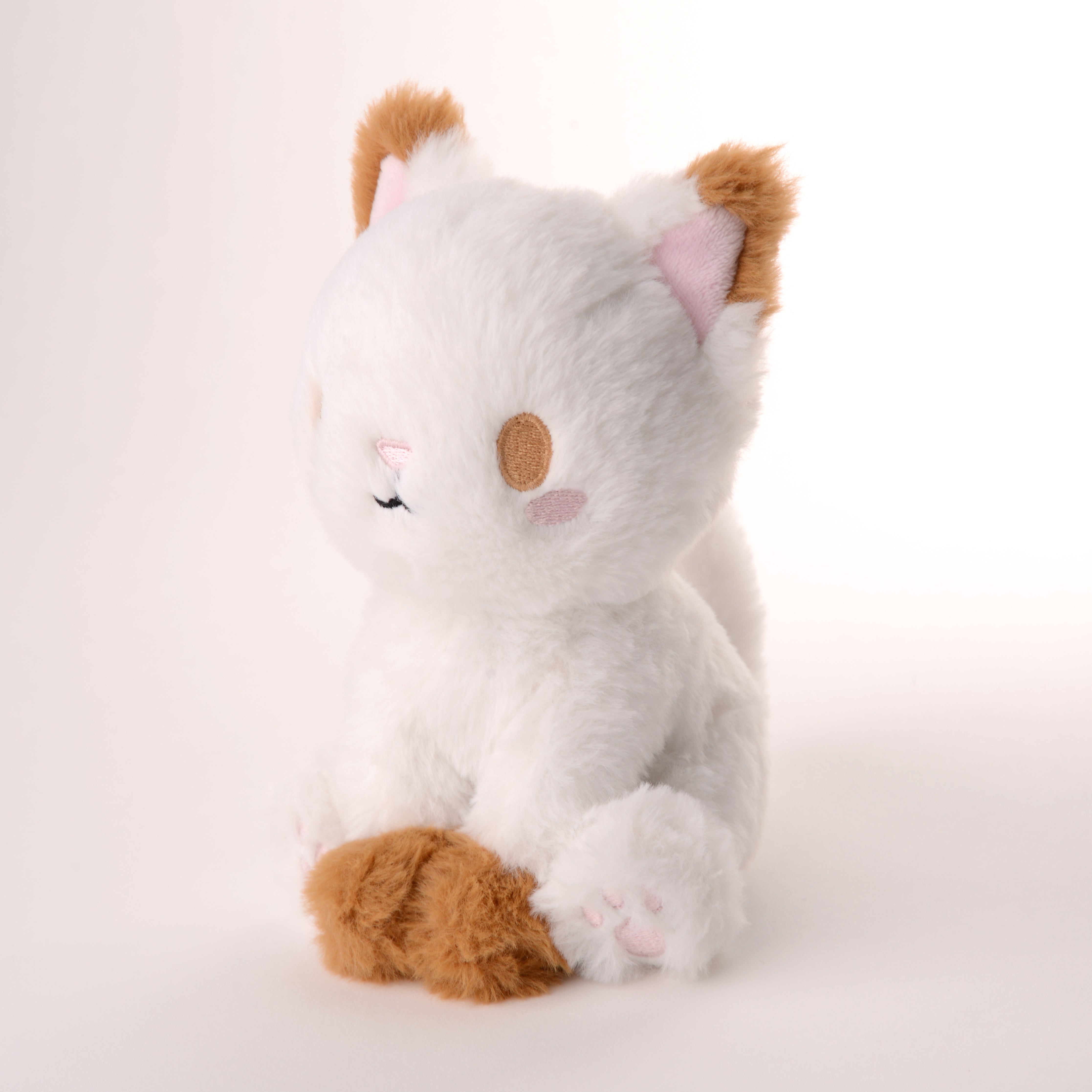 Vanilla Koffee Kitten