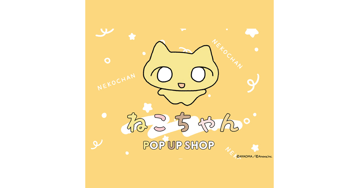 SNSフォロワー数11.7万人！ 社会の荒波にもまれる 「ねこちゃん」の
